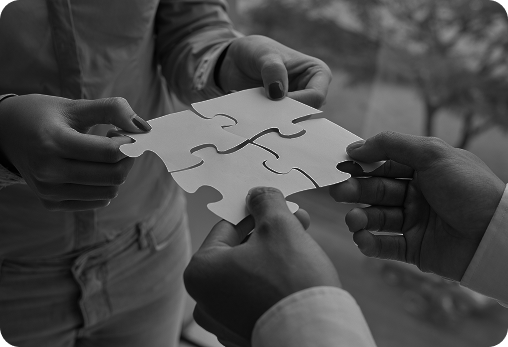 Ecosystem collaboration